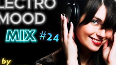 DJ DenisKdi - Electro Mood Mix #24