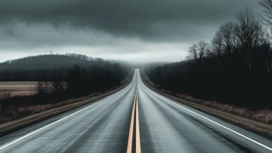 Белая дорога - Highway to nowhere