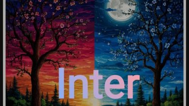 DedZhen - Inter (Original mix)