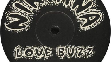 Monkeys Toys - Love buzz (remix)