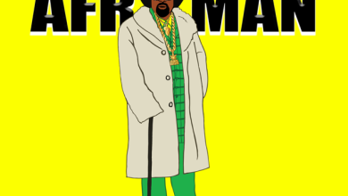 Afroman - Because I Got High (Dj Druzhinin Remix)