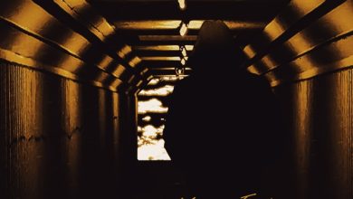 Roman Petelin - A Few Moments of Eternity