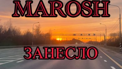 Занесло