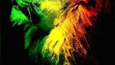 egore vs.Capleton & Chopstick Dubplate -Who Dem Slew Dem