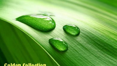 Andrey Malinov - Michael E (Golden Collection) vol.2