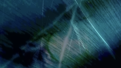 sxffxrd - relief