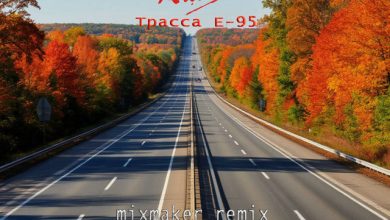 Алиса - трасса Е95 (mixmaker remix)