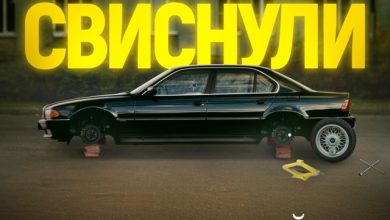 Свиснули