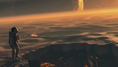 ALEX PETYAYA - GRAVITACIA MIXTAPE SHOW 2025-04-24