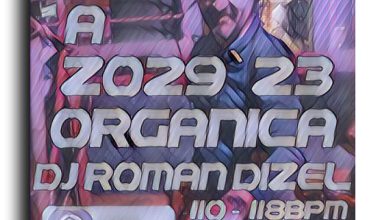 DJ Roman Dizel - Z029A organica (live mix) #29