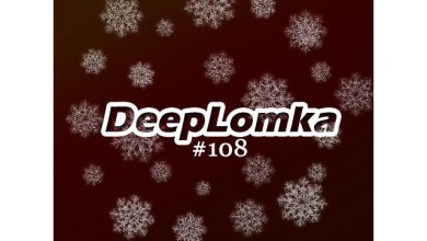 DeepLomka #108