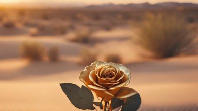 Sting - Desert Rose (feat. Cheb Mami) (Vol'demar Remix)