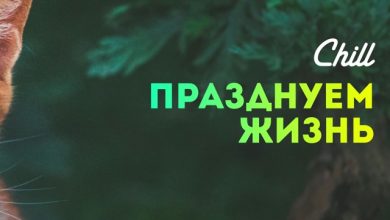 Празднуем жизнь. CHILL от 30.01.25. #503