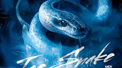 DJ ZHUKOVSKY - ICE SNAKE #7