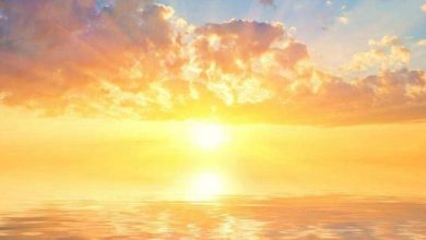 Aivan P - Sunny side