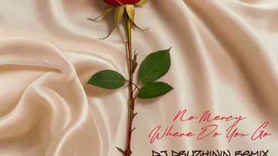 No Mercy - Where Do You Go (Dj Druzhinin Remix)