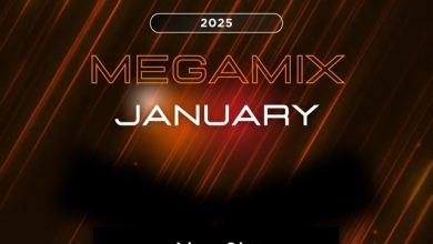 Dj Alex Shu - January Megamix 2025 (31.01.2025)