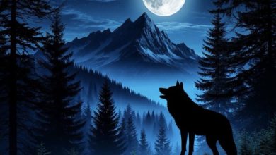 imagine reverse - wolf's howl