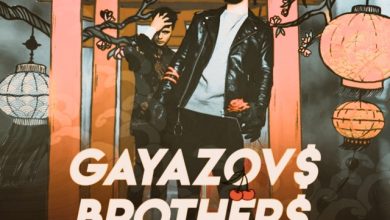 GAYAZOV$ BROTHER$ - Пьяный туман (Madsheads remix)