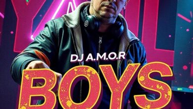 DJ A.M.O.R. - Boys ( funky breaks Track)