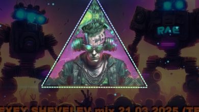 DJ ALEXEY SHEVELEV mix 21.03.2025 (TECHNO)
