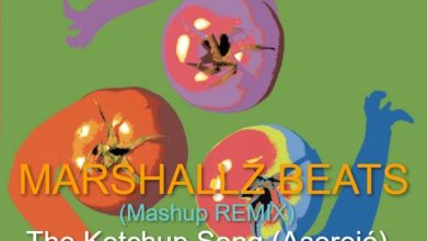 The Ketchup Song - Aserejé (MARSHALLZ BEATS Mashup REMIX)