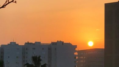 Fel For@IbizaFamily 08-06-2025