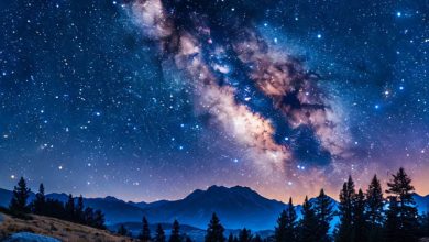 GARRISON-Polar Star