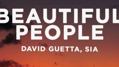 David Guetta & Sia - Beautiful People ( DJ Montana remix )