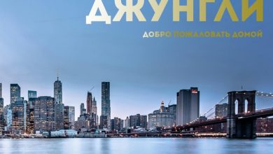 Джунгли. CHILL от 04.04.25. #512