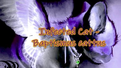 Infected Cat - Baptismus Cattus