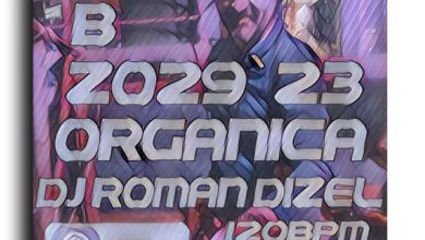 DJ Roman Dizel - Z029B organica (live mix) #29