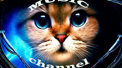Best Deep Progressive House Mix from z.KoT.v #006
