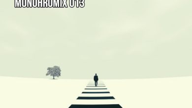 Dj Suntee - MonohroMix 013
