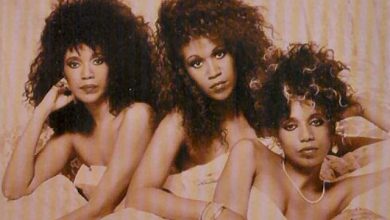 The Pointer Sisters - I am so Excited (SKAFELNIKOF Remix)