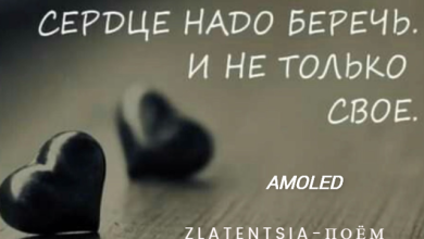AMOLED - Zlatentsia Поём стихи #7
