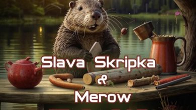 Slava Skripka - Бобр (DJ Shans (ABC) Blend)