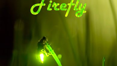 Kahramon Hart - Firefly (Original Mix)