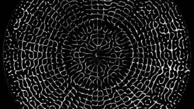 Truecallar-Cymatics
