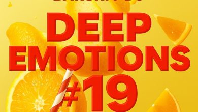 Barskiy DJ - Deep Emotions #19