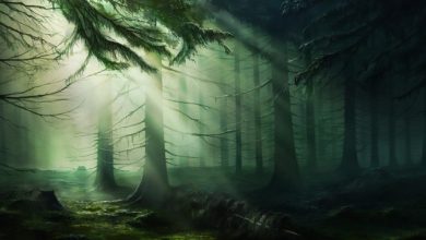 книга °Деяния апостолов°