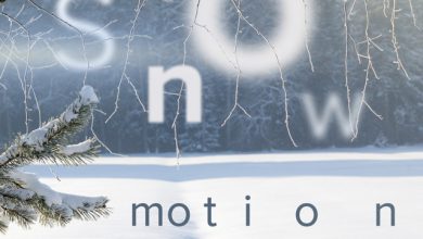 Dj Ton. Snow motion