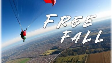 Serge Bokard - Free fall