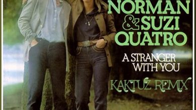 Chris Norman & Suzi Quatro - Stumblin'in (KaktuZ RemiX)