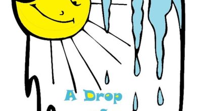 DMC Sergey Freakman - A Drop of Spring