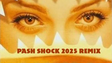 Акула - Кислотный Dj (Pasha Shock 2025 Remix)