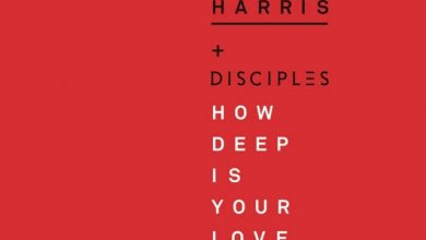 Calvin Harris & Disciples - How deep is your love (ALEXNDROV & NEDLIN Afro Blend)