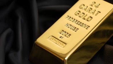 RADIO AFRIKA - 24 CARAT GOLD PROGRESSIVE HOUSE 2025 #1