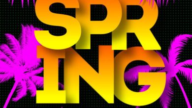 Dj Stereovert - Mini Spring 2025