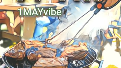 ◖◖◖1MAYVIBE ⋆ RETRO ⋆ VINNIP